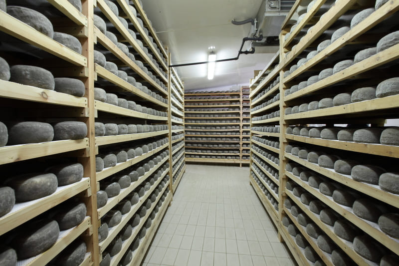 cheese factory producing sant gil albio
